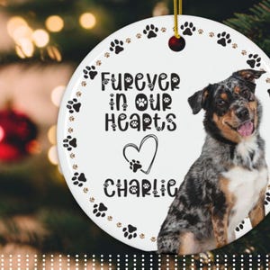 Pet Portrait Custom Pet Memorial Gift Christmas Photo Ornament Custom Pet Ornament Custom Dog Christmas Ornament Pet Ornament Photo Cat
