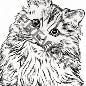 Kitten Coloring Pages Bundle