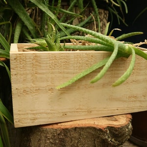 May include: A wooden planter box with a light brown finish. The planter is filled with green succulents and has a natural wood grain pattern.