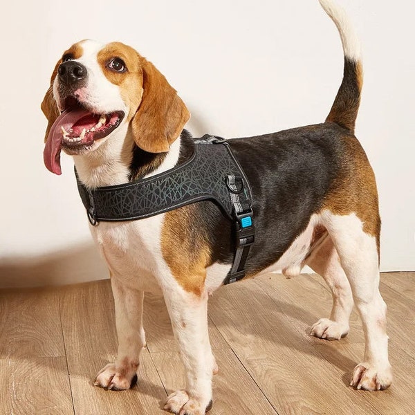 Dog Harness no Pull -Reflective Dog Harness with Walking Easy Control Handle, Multi-Pattern Adjustable Vest Dog Harness