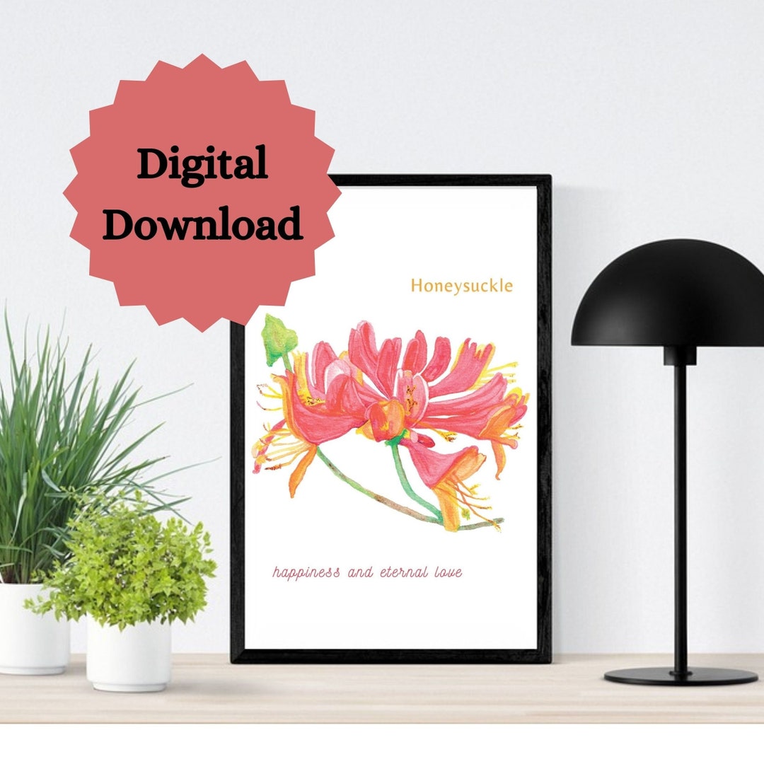 Birth Month Flower for June Honeysuckle June Birth Flower Etsy