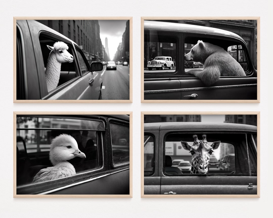 Animals Riding in a Car, Bundle of 4, New York City, Funny Animal ...