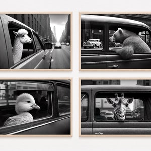 Animales viajando en un automóvil, paquete de 4, ciudad de Nueva York, foto vintage divertida de animales, arte de pared retro de animales, alpaca, oso, pato, jirafa, arte de IA