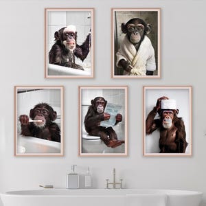 Puede incluir: Cinco impresiones enmarcadas que representan chimpancés en escenas de baño humorísticas. Un mono está en una bañera, otro con una bata, un tercero cepillándose los dientes, un cuarto leyendo un periódico y el último con un rollo de papel higiénico en la cabeza.