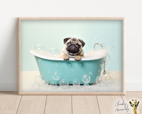Pug in bathtub sales