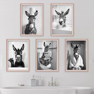 May include: A set of five black and white photographs featuring a donkey in various humorous situations. The donkey is wearing a shower cap, brushing its teeth, reading a newspaper, taking a bath, and wearing a bathrobe.