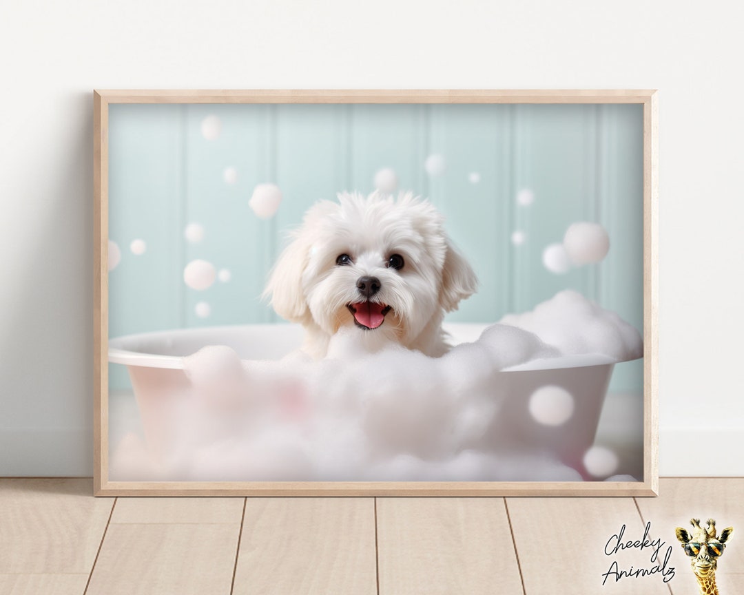 Maltese Dog Pup in the Bathtub, Cute Dog Photograph, Maltese in Bubble Bath, Funny Animal Print