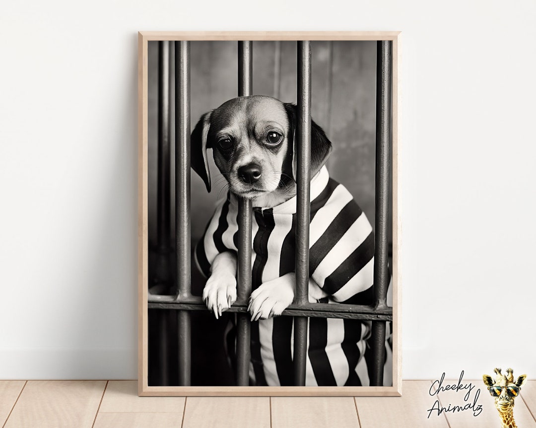 Print grappige hondengevangenis: vintage gestreept pak dierenfoto (digitale  download) - Etsy België, image size:1080x864