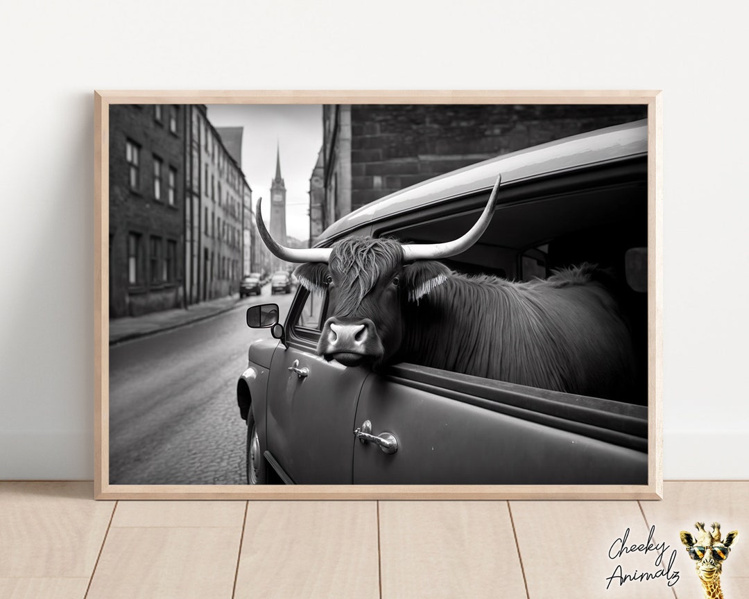 Kow Incar Funny Highland Cow in Car - NYC Vintage Photo Print (AI Art) - Etsy