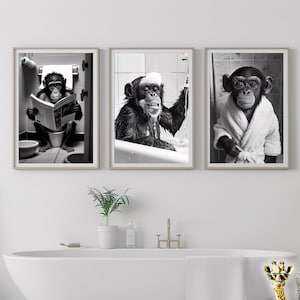 Puede incluir: Tres fotos en blanco y negro de chimpancés en un entorno de baño. La primera foto muestra a un chimpancé sentado en un inodoro leyendo un periódico. La segunda foto muestra a un chimpancé tomando un baño. La tercera foto muestra a un chimpancé con una bata de baño.