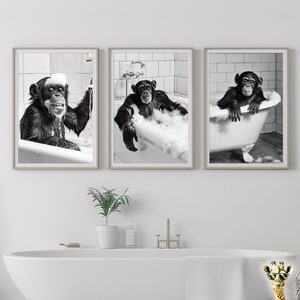 May include: Three black and white photos of chimpanzees taking a bath in a white bathtub. The chimpanzees are smiling and enjoying their bath.