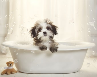 Tub Shih Tzu Puppy Bath Wet Shih-tzu Puppy Dog Bath Looking Stock