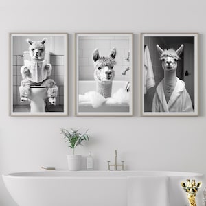 Puede incluir: Tres fotos en blanco y negro de alpacas en un entorno de baño. La primera foto muestra una alpaca sentada en un inodoro leyendo un periódico. La segunda foto muestra una alpaca en una bañera con burbujas. La tercera foto muestra una alpaca con una bata de baño blanca.
