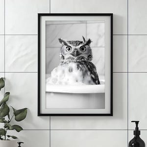 May include: A black and white photograph of an owl in a bathtub with bubbles. The owl is looking directly at the camera.
