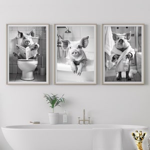 May include: Three black and white photographs of pigs in various bathroom settings. One pig is sitting on a toilet, another is in a bath, and the third is standing in a bathroom with a towel wrapped around it.