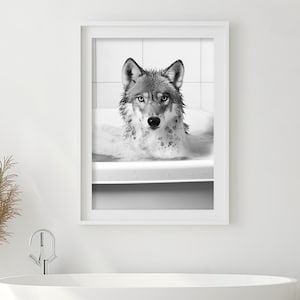 May include: A black and white photograph of a wolf in a bathtub. The wolf is looking directly at the camera with a serious expression. The wolf is covered in bubbles.