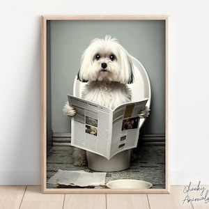 Maltese Dog Sitting on the Toilet Reading a Newspaper, Funny Bathroom Wall Art, Funny Dog Photo, Animal Prints, Home Printables, AI Created
