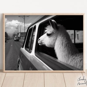 Llama Riding in a Car in New York City, Llama Comes to Town, Funny Animal Vintage Photo, Retro Llama Print, Wall Art, Printables, AI Art