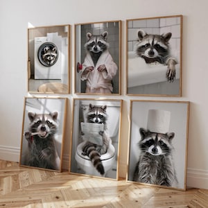 May include: Six framed art prints featuring raccoons in humorous domestic scenes. One raccoon is in a washing machine, another in a bathrobe, and a third in a bathtub. Other prints show raccoons brushing teeth, reading a newspaper on a toilet, and wearing a toilet paper hat.