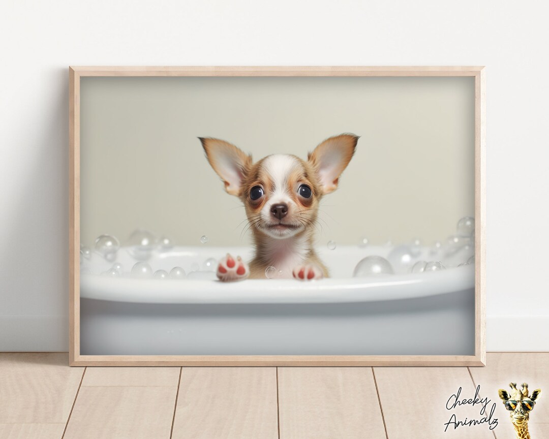 Chihuahua Pup in the Bathtub, Cute Dog Photograph, Chihuahua in Bubble ...