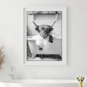 Puede incluir: Fotografía en blanco y negro de una vaca de las tierras altas tomando un baño en una bañera blanca. La vaca está cubierta de burbujas y tiene una expresión relajada en su rostro.