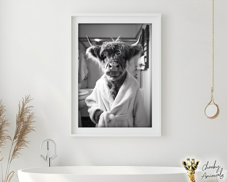 May include: Black and white photograph of a Highland cow wearing a white bathrobe. The cow is standing in a bathroom with a towel rack and a toilet visible in the background.