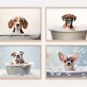 May include: Four framed photos of dogs in a bathtub with bubbles. The dogs are a beagle, a boxer, a bulldog, and a chihuahua.