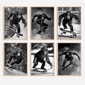 Monkeys Skateboarding, Bundle of 9, Funny Animal Wall Art, Monkey on Skateboard, Animal Photography, Monkey Wall Art, Home Printable, AI Art