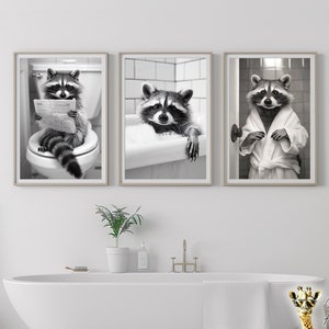 Peut inclure: Trois photos en noir et blanc de ratons laveurs dans différents contextes de salle de bain. Un raton laveur lit un journal assis sur les toilettes, un autre prend un bain et le troisième porte un peignoir et se tient dans une salle de bain.