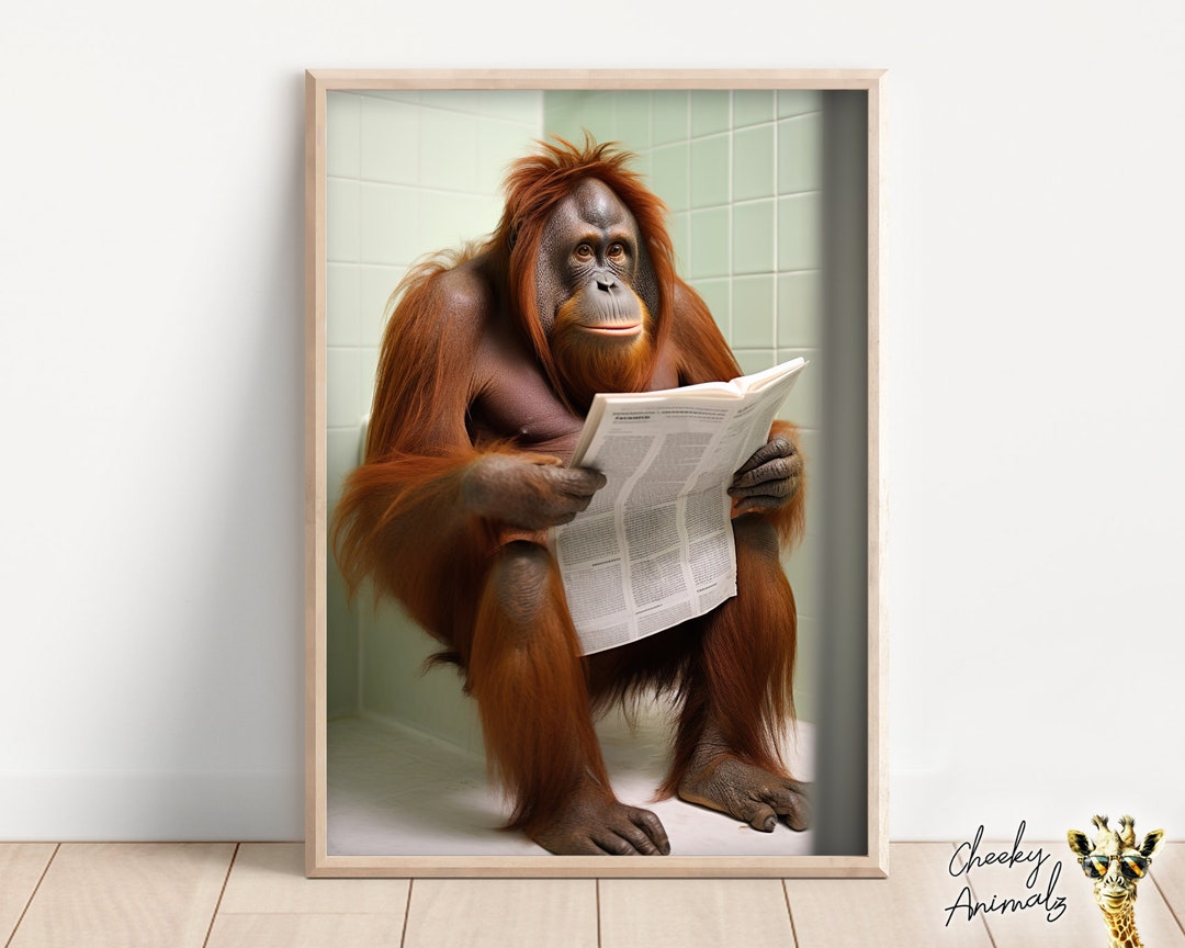 Orangutan Ape Sitting On The Toilet Reading A Newspaper Funny Bathroom orangutan-ape-sitting-on-the-toilet-reading-a-newspaper-funny-bathroom