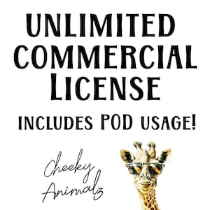 Unlimited Commercial Licence