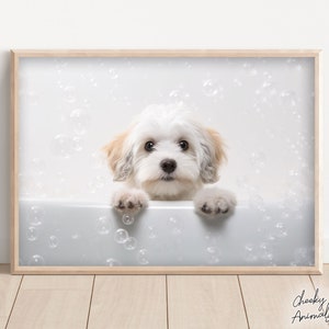 Maltese Dog Pup in the Bathtub, Cute Dog Photograph, Maltese in Bubble Bath, Funny Animal Print, Funny Bathroom Wall Art, Printables, AI Art