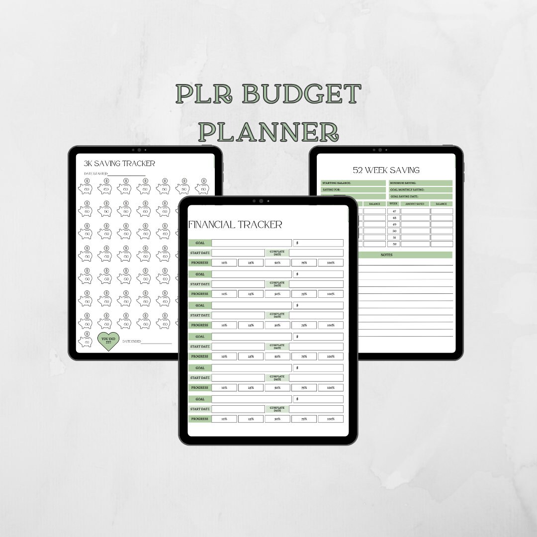 PLR Budget Planner, PLR Digital Budget Planner, PLR Budget, Plr Canva ...
