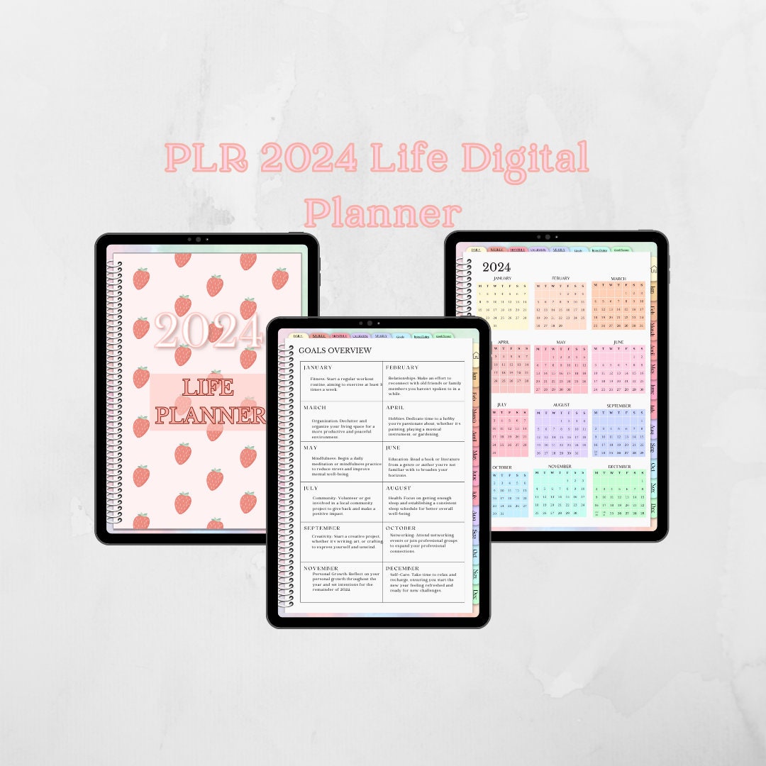 PLR 2024 Planner, Plr 2024 Life Planner, PLR 2024 Digital Planner, PLR  Products,plr Digital Products, Done for You Planners, Canva Templates 