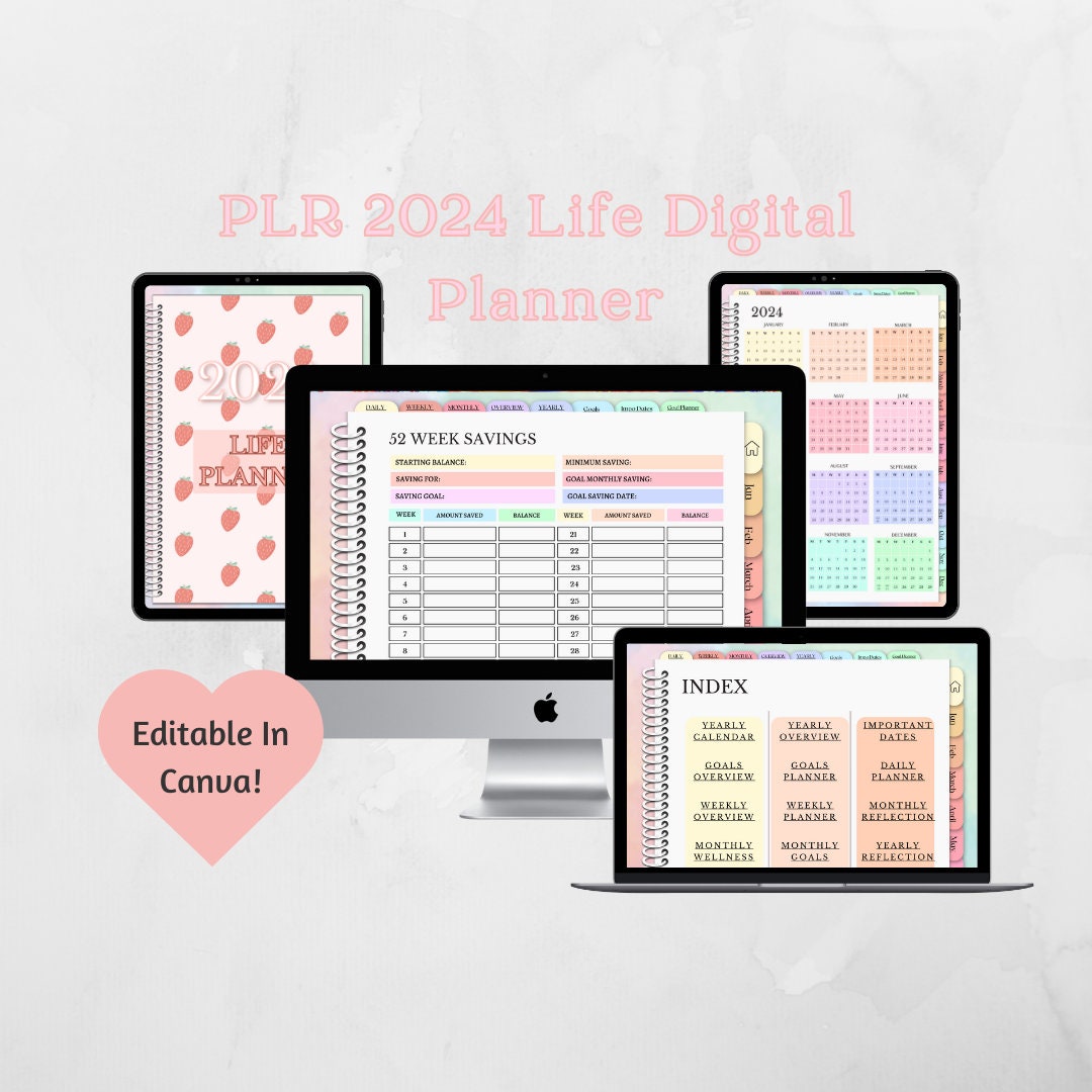 PLR 2024 Planner Goodnotes, Plr 2024 Life Planner, PLR 2024 Digital