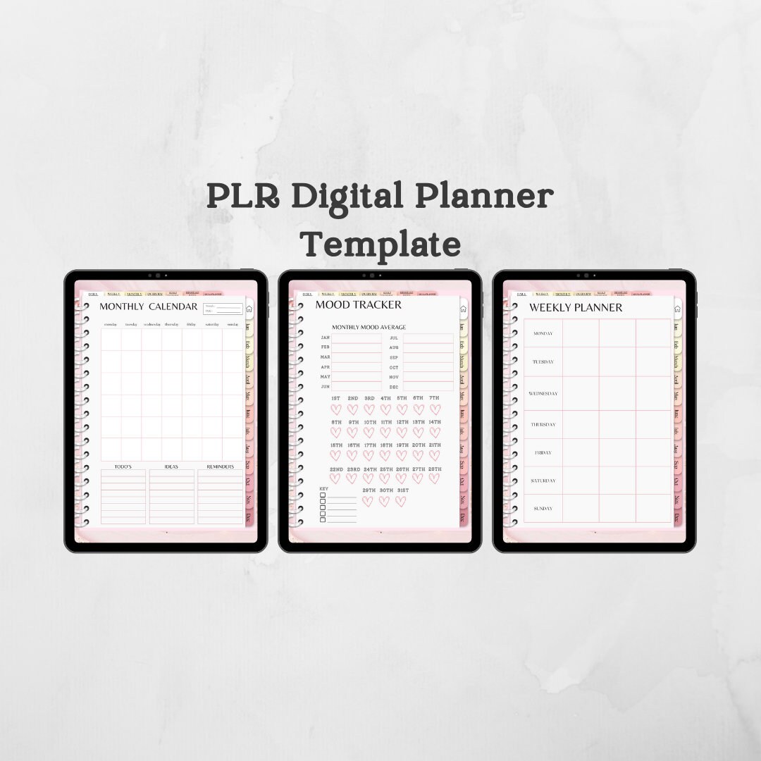 PLR Digital Planner Template PLR Planner Plr Planner Template PLR PLR Digital Planner Template PLR Planner Plr Planner Template PLR