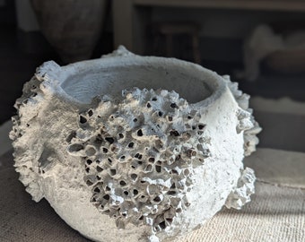 Large White shell barnacle vase