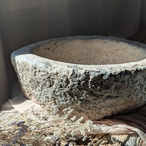 Puede incluir: Un cuenco desgastado, de aspecto pétreo, con un exterior rugoso y texturizado. El cuenco tiene un diseño ancho y poco profundo y un color beige claro. Flores secas y un paño beige en primer plano.