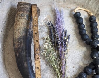 本物の天然水牛の角/バイキングの角 - Etsy 日本