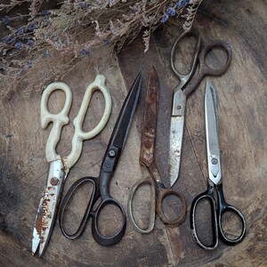 May include: An assortment of vintage scissors with various handle designs and blade styles. The scissors are arranged on a wooden surface, with dried lavender sprigs in the background. The scissors show signs of age and wear.