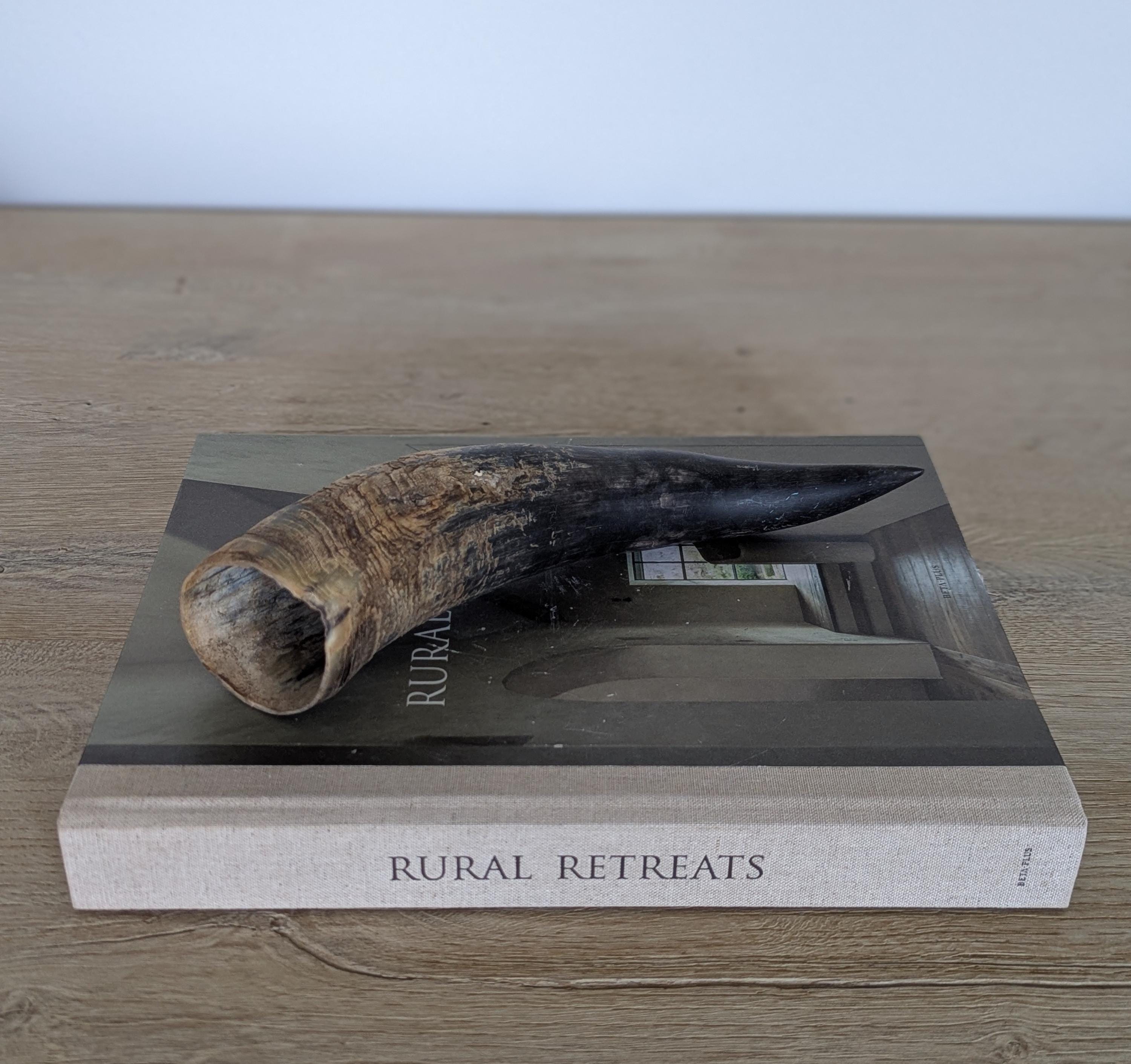 本物の天然水牛の角/バイキングの角 - Etsy 日本