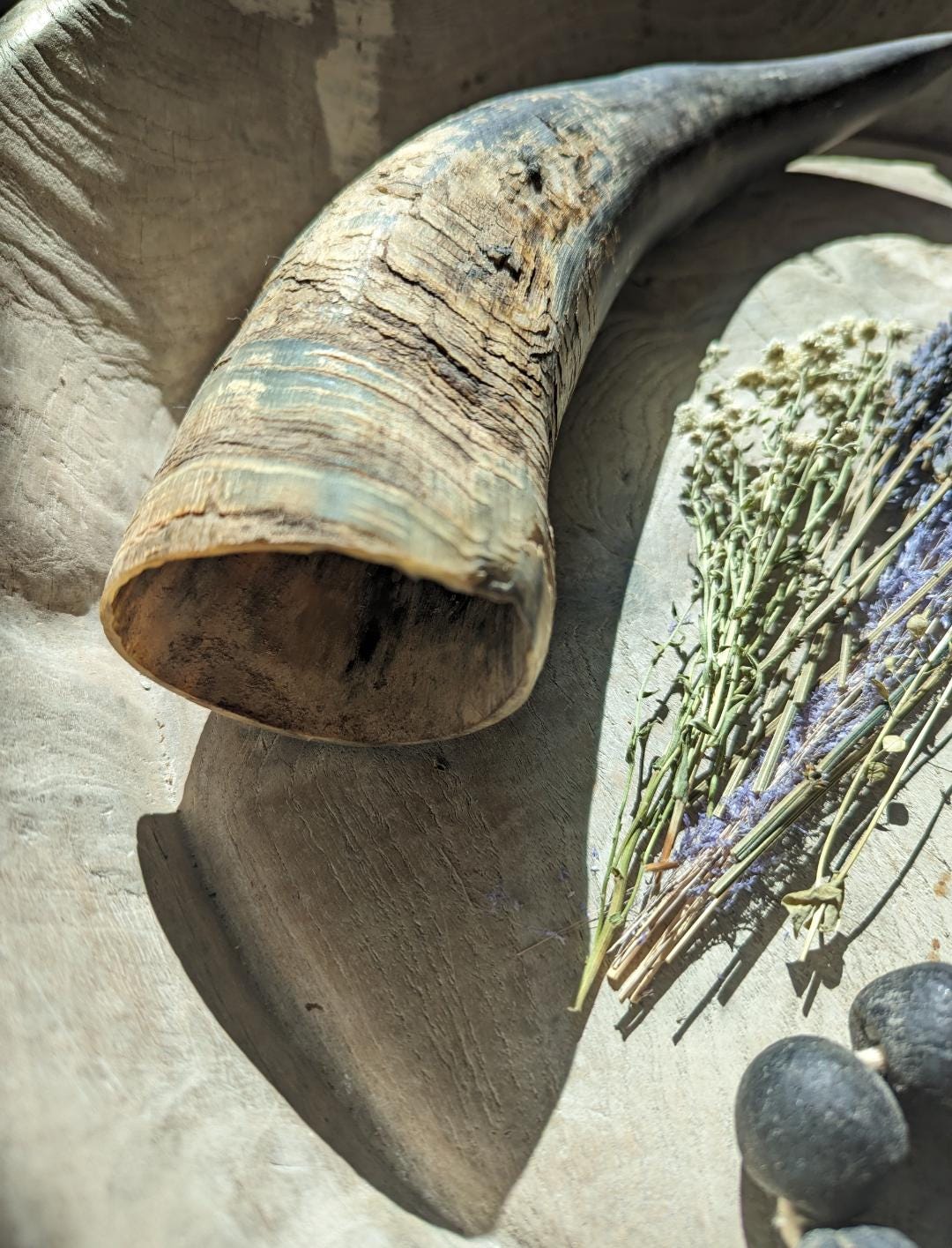 本物の天然水牛の角/バイキングの角 - Etsy 日本