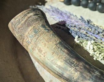 本物の天然水牛の角／バイキングの角 - Etsy 日本