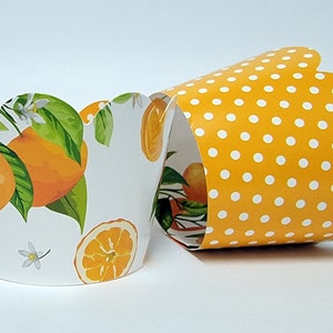 Orange themed Cupcake Wrappers for Cutie party supplies, Little Cutie Birthday Parties, Sweet One. Set of 24