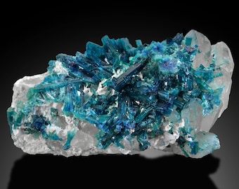 Natural Terminated Indicolite Tourmaline Crystal Clusters with Quartz Matrix Specimen, museum crystal, Very Rare! Tourmaline Color