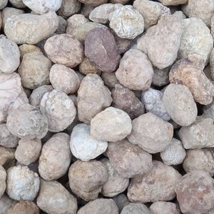 100 count whole unopened uncut mini geodes jewelry size lapidary cutters Kentucky bulk geode crystals minerals gems stones rocks cabbing