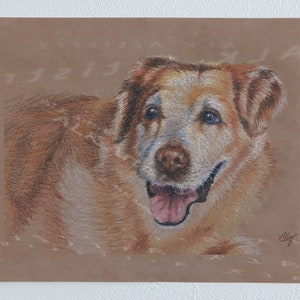 Pet Portrait Sketches (Dog, Cat, Any pet!) - 9 x 12” in Colored Pencils on Recycled Paper (Brown)