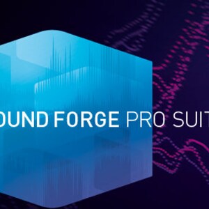 SOUND FORGE Audio Studio 17 WINDOWS (X64)