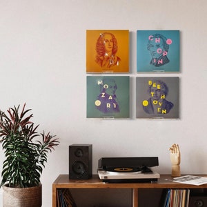 Vinyl Record Wall Mount, Vinyl Record Cover Display Shelf, Wall Mounted Vinyl Record Holder Stand Racks for Album Cover Display