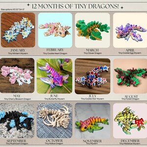 May include: A collection of twelve articulated dragon figurines labeled 12 MONTHS OF TINY DRAGONS, featuring seasonal themes from January to December, including designs like Tiny Winter Wyvern, Tiny Clover Dragon, and Tiny Mistletoe Wyvern.